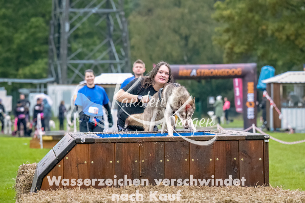 1029--4 | kk-dogfotos