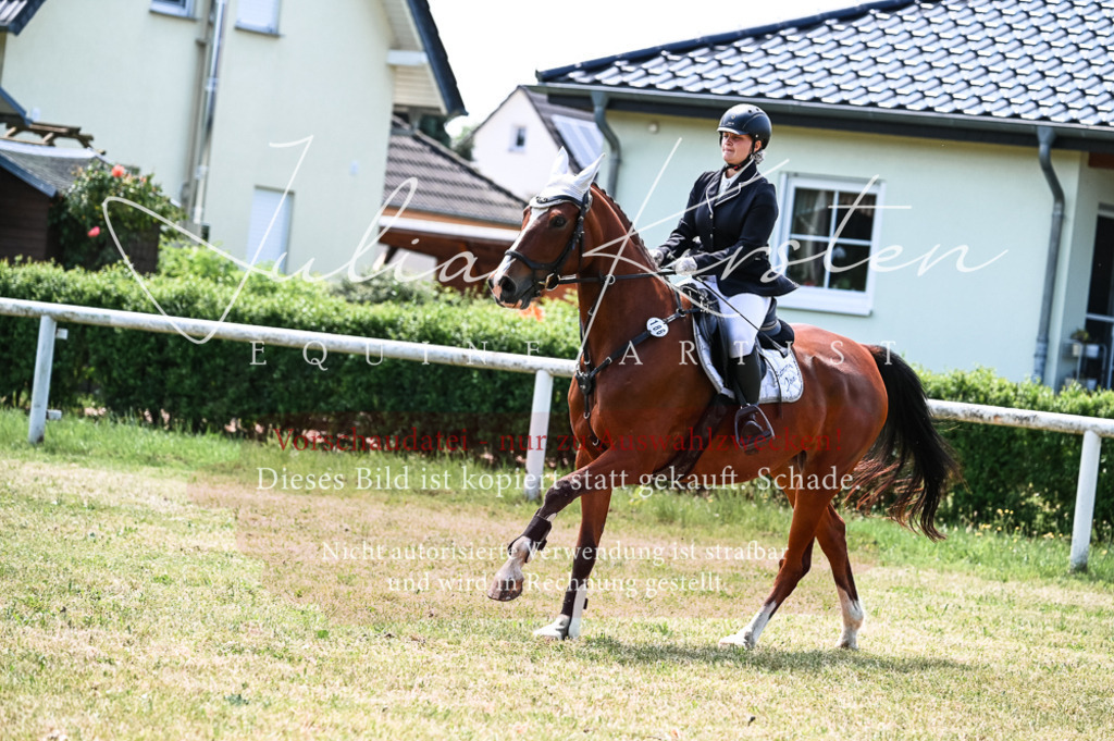 DSC_9838 | Pferde- und Turnierfotografie in Westsachsen. Pferdeportraits, Auftragszeichnungen und intuitive Kunst.