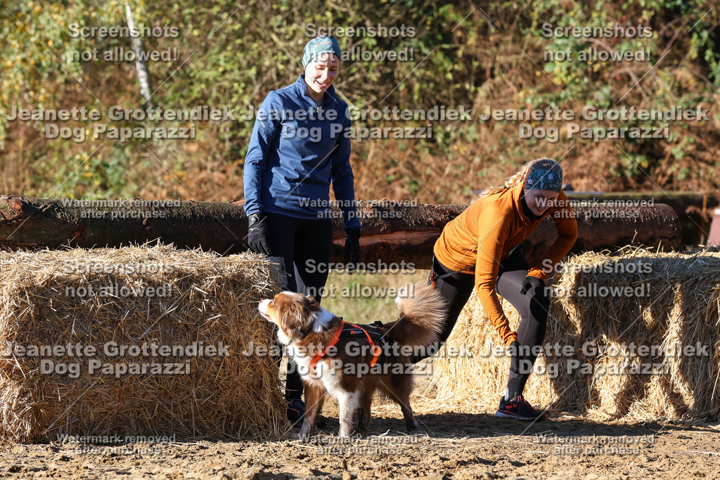 Dog Paparazzi - Strongdog 10-25-1636 | Dog Paparazzi Jeanette Grottendiek Fotografie & Videografie - Realisiert mit Pictrs.com