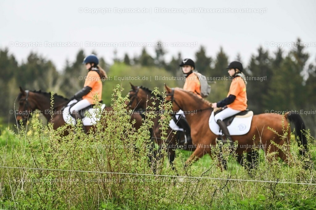 20230513_Impressionen_0023 | equistock