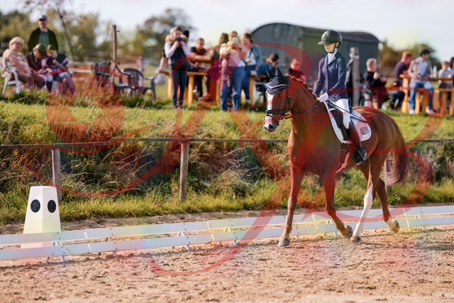 2026_10_03_Siefer-Hof_123410_Z81_31805321 | Professionelle Reitsport-, Turnier- und Eventfotografie von Robert Broda. Galerien mit ausgewählten und bearbeiteten Bildern direkt online ansehen und bestellen.
