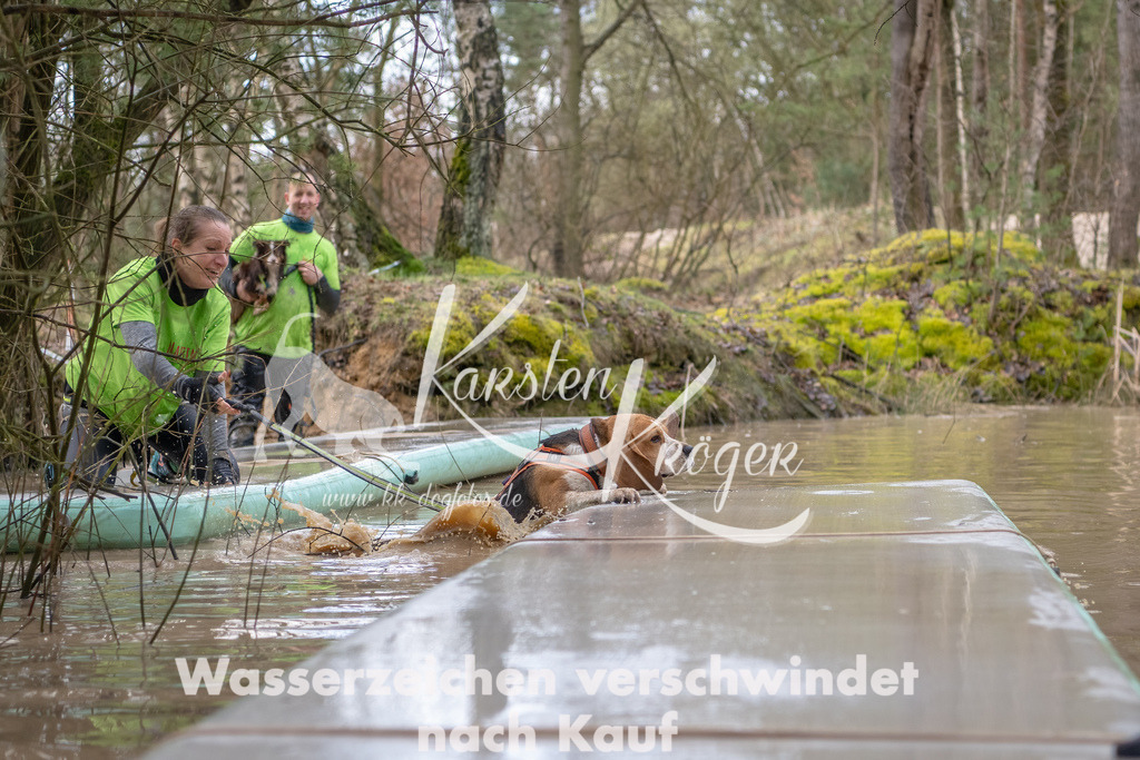 0954_ZZ91649-Bearbeitet | kk-dogfotos