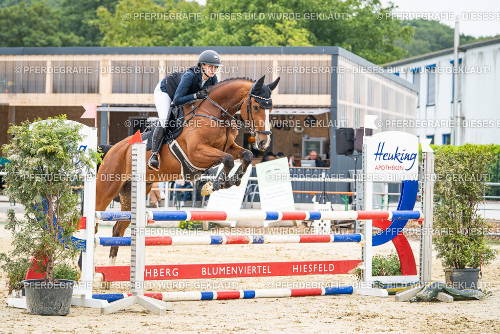 DSC00051 | Pferdegrafie