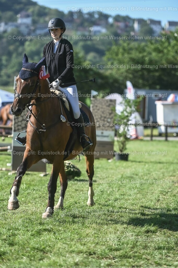20230909_12_Stilspringen_A_0264 | equistock
