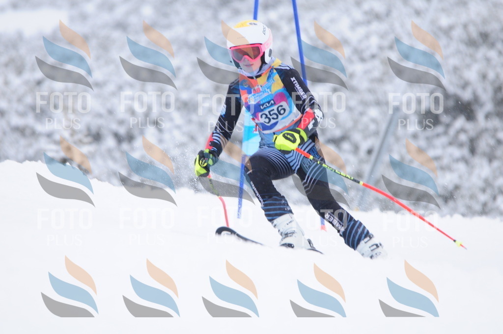 C3803 | holidayphoto