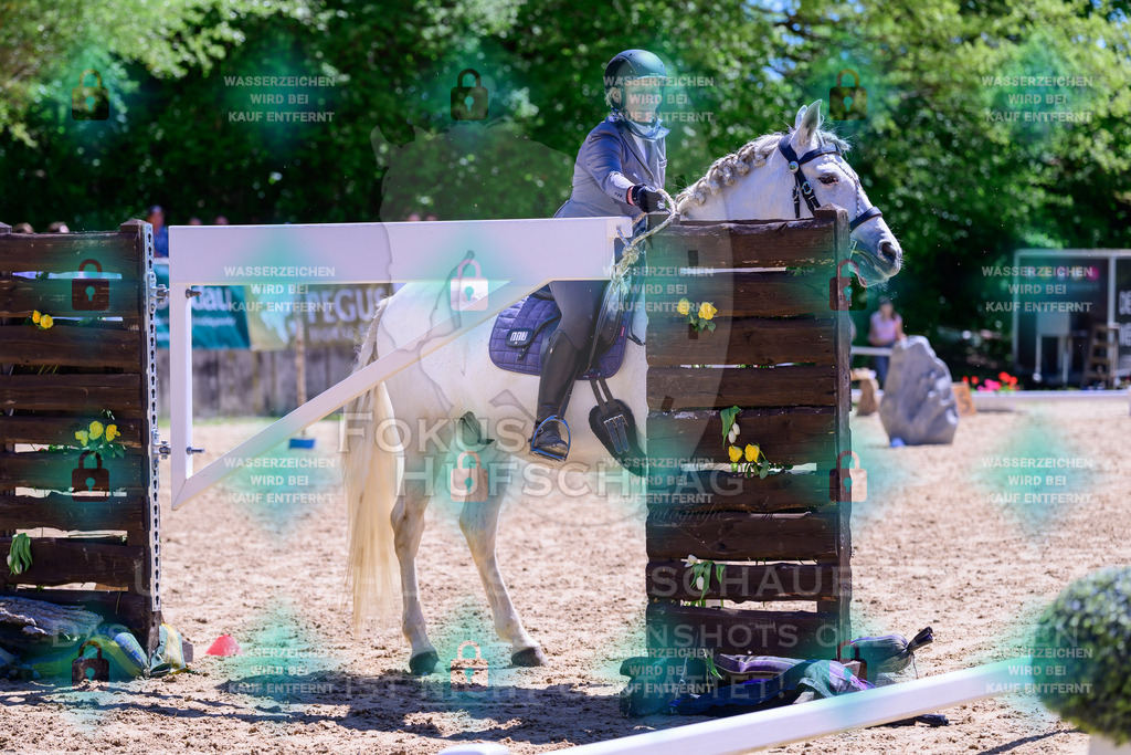 01052026-Giesenbach-02-Stiltrail-0085 | Fokus Hufschlag Fotografie - Realisiert mit Pictrs.com
