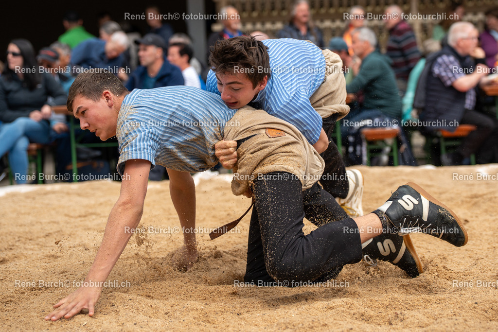 RB_04299 | René Burch leidenschaftlicher Fotograf aus Kerns in Obwalden.  Hier finden sie Sport, Landschaft und Natur Fotografie.
 - Realisiert mit Pictrs.com