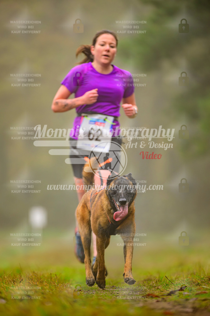 MompixPhotography_Bischwiller2025_Canicross-80 | mompixphotography