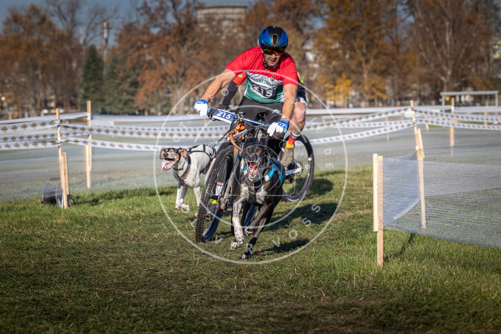 CaniXpix_0L8A4586 | Hundefotografie, Tierfotograf, Pfotenfotografie, Fotoshooting Hund, Hunde Portrait, Hundesport, Hundeportraits, Heideshooting, Hunde, Sportfotograf, Hundefotograf, Turnierhundsport, THS,  - Realisiert mit Pictrs.com