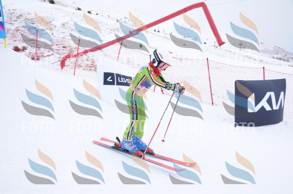 DSC_8393 | holidayphoto