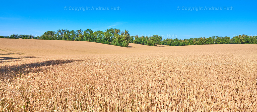 _Baumfeldwirtschaft_ in Stroischen mit ab 1944 angelegten Baumreihen zwischen den Feldparzellen | Bedeutsame Landschaften Deutschlands - Realisiert mit Pictrs.com