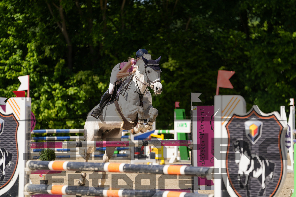 DSC02417 | Julian Held Fotografie - Realisiert mit Pictrs.com