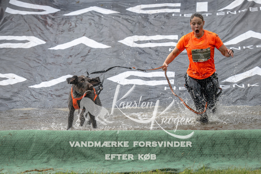 1153_ZZ93818 | kk-dogfotos