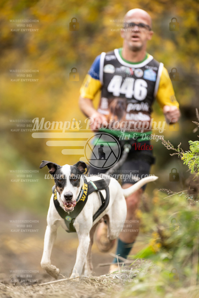 MompixPhotography_ICF_WC_2024_SA_Run_-451 | PayLife