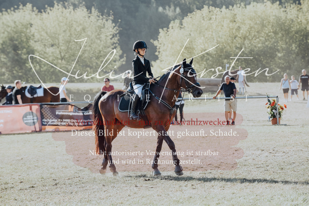 DSC_5568 | Pferde- und Turnierfotografie in Westsachsen. Pferdeportraits, Auftragszeichnungen und intuitive Kunst.