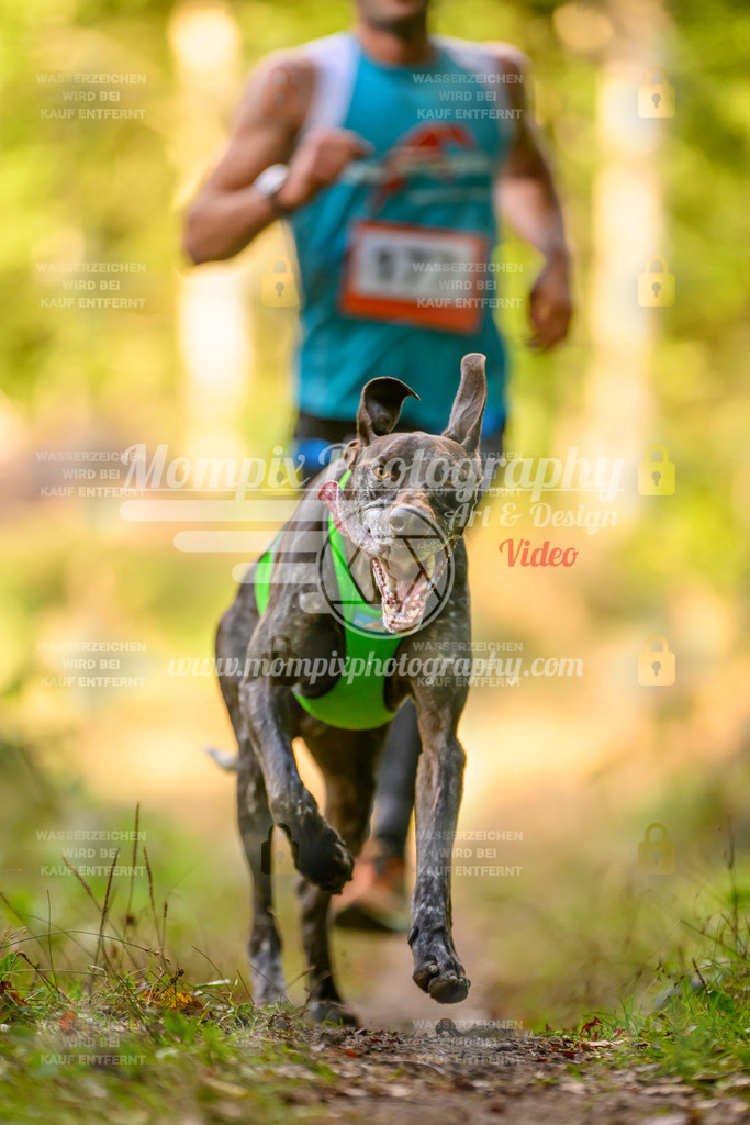 MompixPhotography_Yens2025_B3-213 | PayLife