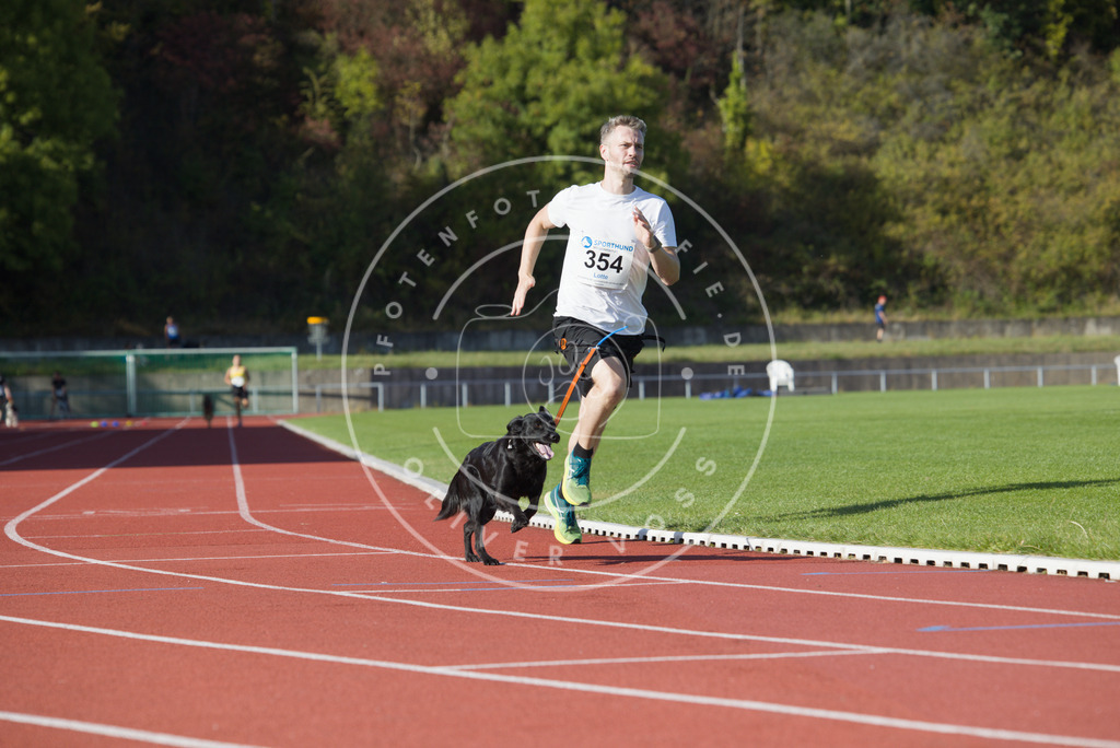 0L8A9968 | Hundefotografie, Tierfotograf, Pfotenfotografie, Fotoshooting Hund, Hunde Portrait, Hundesport, Hundeportraits, Heideshooting, Hunde, Sportfotograf, Hundefotograf, Turnierhundsport, THS,  - Realisiert mit Pictrs.com