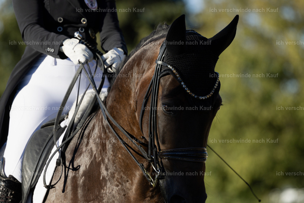 FHC2026_P09_48_19085 | Fichtenhof Classics 2026 – Grand Prix de Dressage - VOLTAIRE Design Preis, Reitanlage Fichtenhof, Sch ftlarn