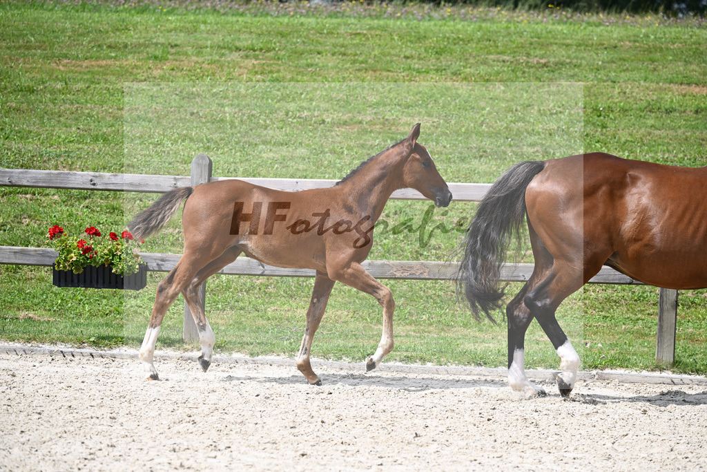 Kannan x Colman_SF_Halama_29240393 | hf-fotografie - Realizzato con Pictrs.com