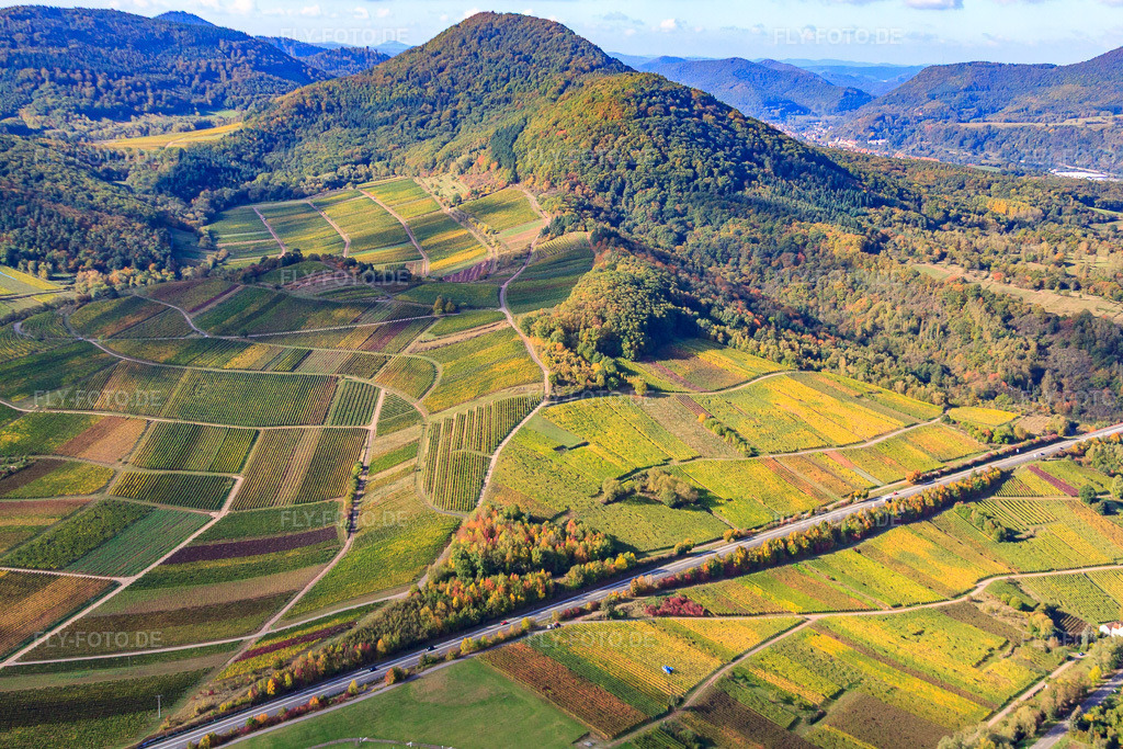 Luftbild: Weinlage Kastanienbusch unter dem Hohenberg in Birkweiler im Bundesland Rheinland-Pfalz in Deutschland. Foto: IMG_22315.jpg vom 15.10.2009 durch Werner Riehm/FLY-FOTO.de