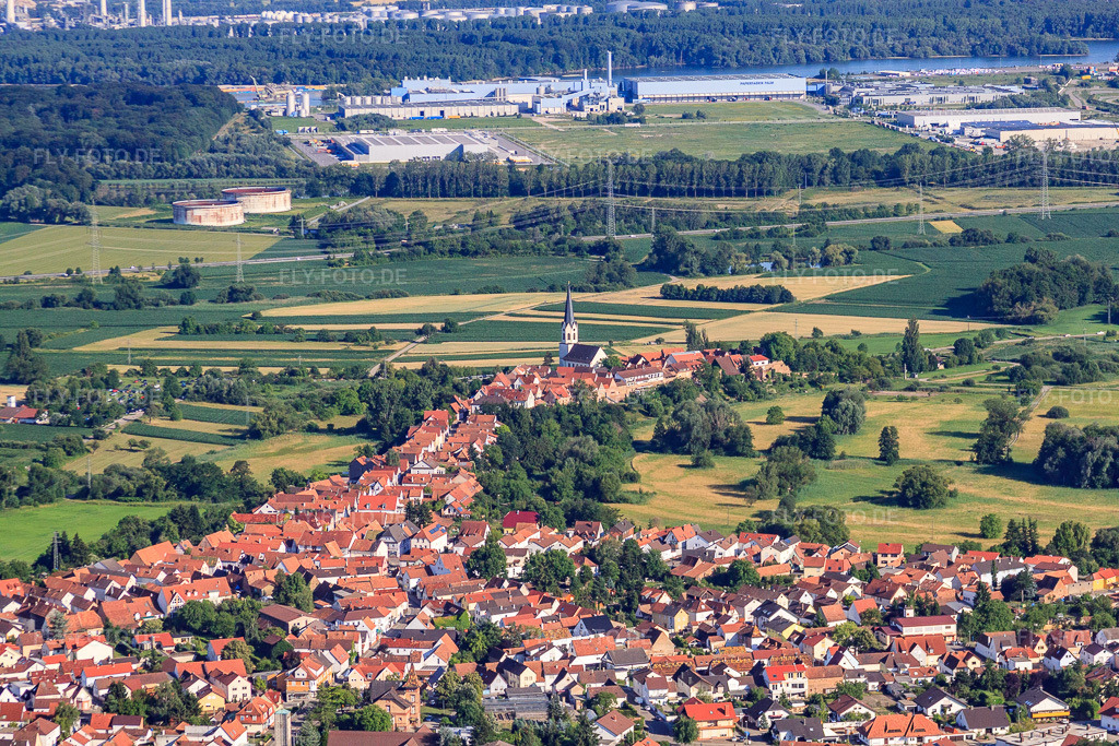 Luftbild: Hinterstädel von Norden, Ludwigstr in Jockgrim im Bundesland Rheinland-Pfalz in Deutschland. Foto: IMG_42415.jpg vom 27.06.2011 durch Werner Riehm/FLY-FOTO.de