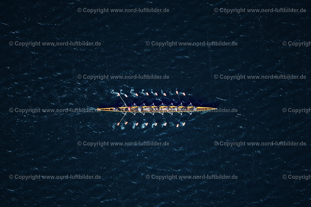 Hamburg_Ruder_Achter_auf_der_Alster_Senkrechtaufnahme_ELS_2211240525 | HAMBURG 24.05.2025 Senkrecht- Luftbild aus der Satelliten- Perspektive vom Ruder Achter in Hamburg auf der Alster im Bundesland Hamburg, Deutschland. // Vertical aerial view from the satellite perspective of the rudder aft in Hamburg on the Alster in the state of Hamburg, Germany. Foto: Martin Elsen