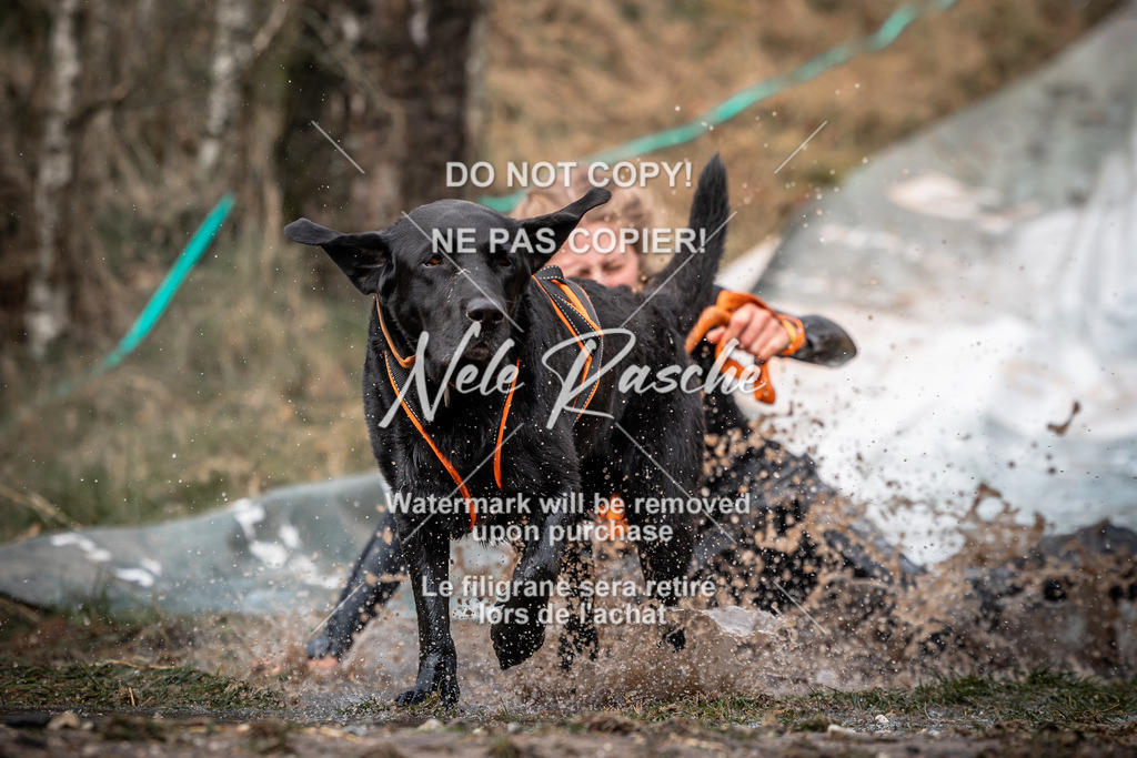 nelerasche_1330-1400_101 | nelerasche