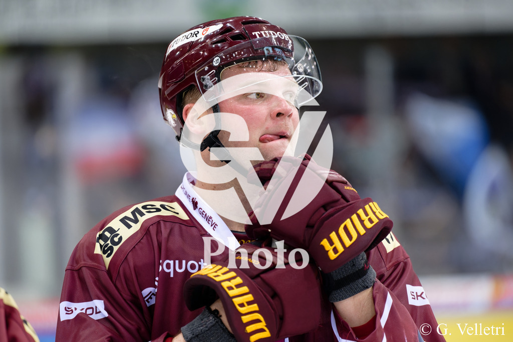 DSC_5949 | Velletri Photo