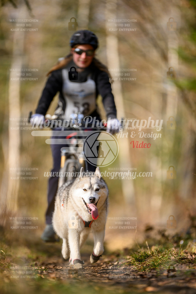 MompixPhotography_6ReiatRennen2026_SO_Bike-119 | PayLife
