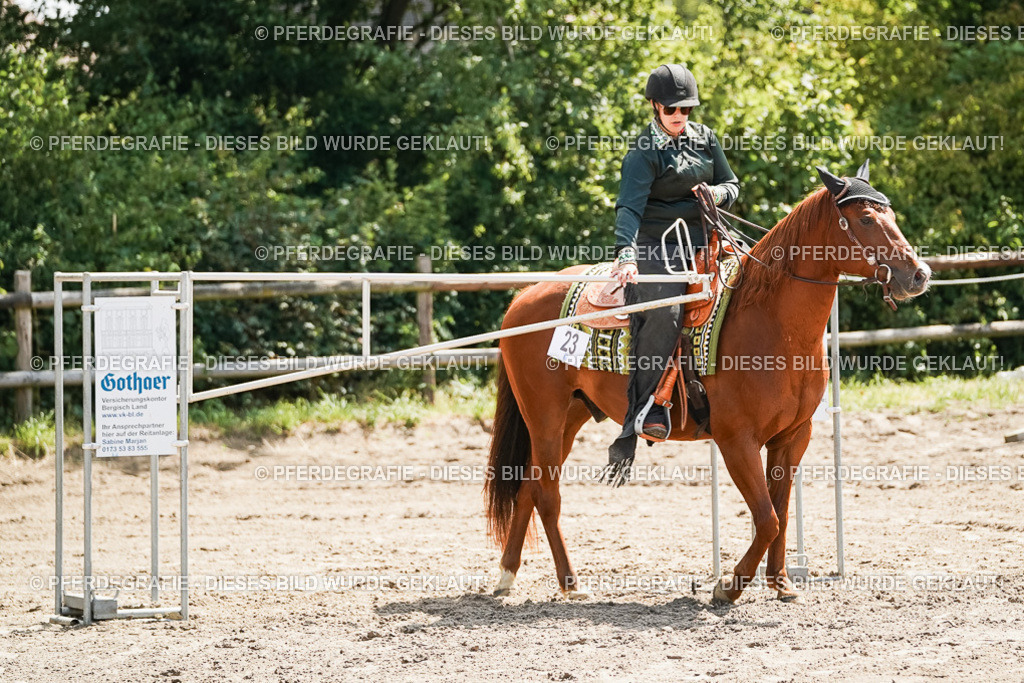 DSC06554 | Pferdegrafie