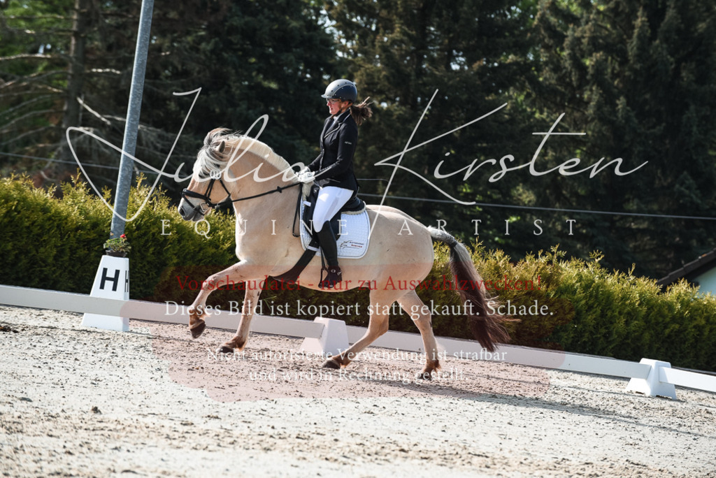 20230518_JK-Röhrsdorf-09-1099 | Pferde- und Turnierfotografie in Westsachsen. Pferdeportraits, Auftragszeichnungen und intuitive Kunst.