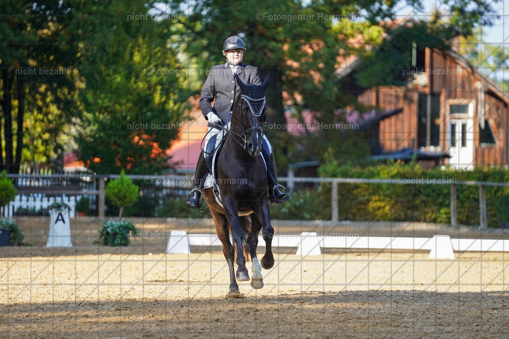 20221007-FAH00212 | Diessen am Ammersee, 2022, Dressur- und Springturnier, Reitsportbilder, Turnierfotografen Bayern, Pferdefotografen, Fotoagentur Herrmann, Turnierbilder