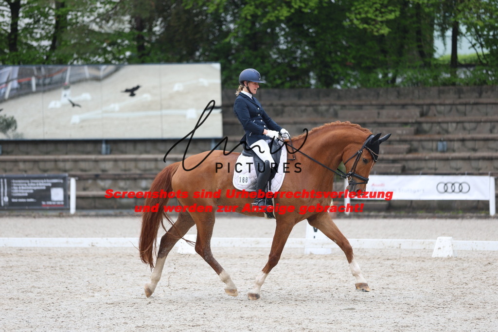 A40A8192 | lmwpictures - Realisiert mit Pictrs.com