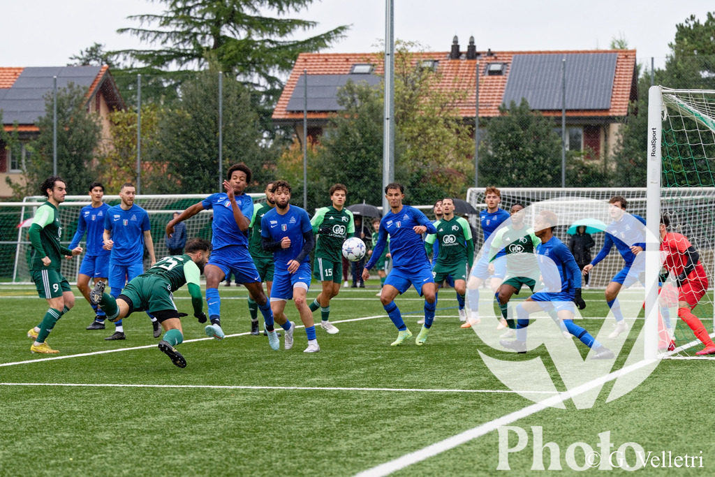 DSC_6729 | Velletri Photo