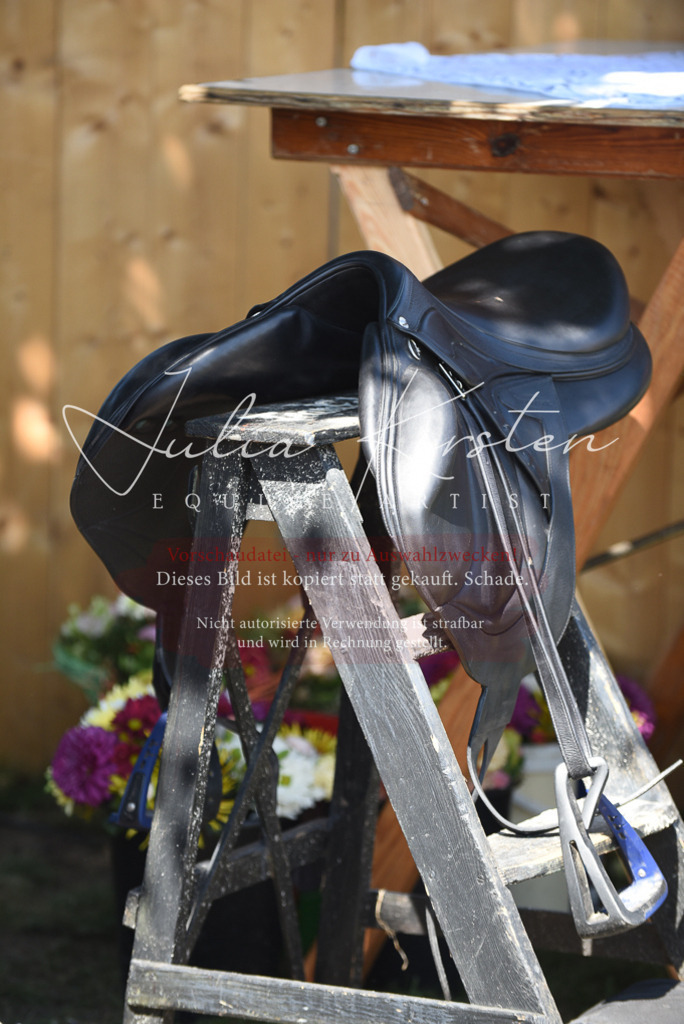 DSC_8874 | Pferde- und Turnierfotografie in Westsachsen. Pferdeportraits, Auftragszeichnungen und intuitive Kunst.