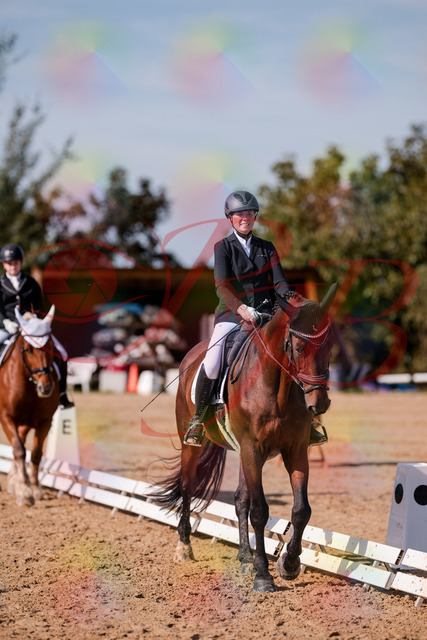 2026_10_03_Siefer-Hof_125937_Z81_50827223 | Professionelle Reitsport-, Turnier- und Eventfotografie von Robert Broda. Galerien mit ausgewählten und bearbeiteten Bildern direkt online ansehen und bestellen.