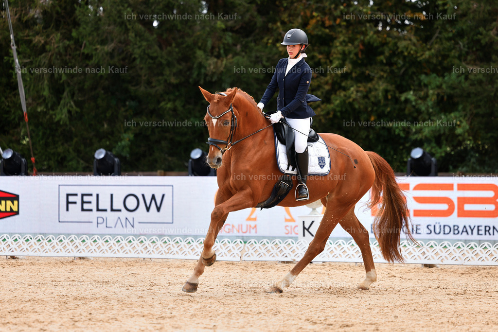 02-095-DRESSUR L_  -StoibPH-4714 | working equitationturnier fotograf videograf stoibphotography marixx film working equitation deutschland reitsport turnierfotografie eventfotografie equestrian events