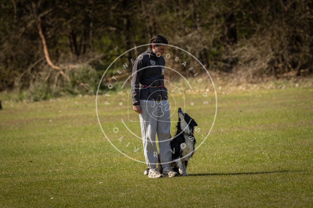 Pfotenfotografie_DV3A1055 | Hundefotografie, Tierfotograf, Pfotenfotografie, Fotoshooting Hund, Hunde Portrait, Hundesport, Hundeportraits, Heideshooting, Hunde, Sportfotograf, Hundefotograf, Turnierhundsport, THS,  - Realisiert mit Pictrs.com
