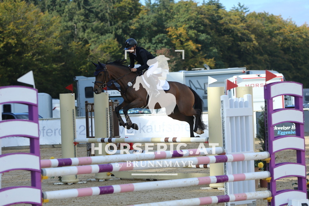 DL2Q4698 | Willkommen bei Brunnmayr - Design & Fotografie – Ihrem Spezialisten für Reitturniere und Pferdeveranstaltungen in Oberösterreich, Salzburg und Bayern! Seit über 17 Jahren sind wir leidenschaftlich dabei.