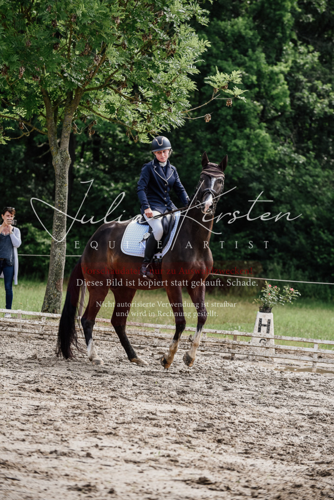 DSC_0059 | Pferde- und Turnierfotografie in Westsachsen. Pferdeportraits, Auftragszeichnungen und intuitive Kunst.