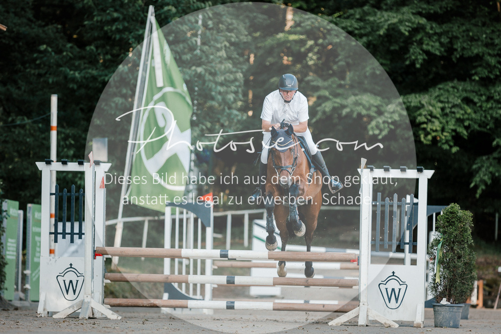 3I6A6036 | Stimmungsvolle Portraits und Reitsportfotografie im Ruhrgebiet und im Münsterland.

Pferdefotografie, Hundefotografie, Tierfotografie, Reportagen, Portraits von Tier und Mensch, Turnierfotografie in Bochum, Recklinghausen, Marl, Haltern am See, Dülmen.. - Realisiert mit Pictrs.com