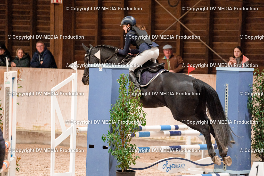 Springen Tag 2-082 | dv-media-shop - Realisiert mit Pictrs.com