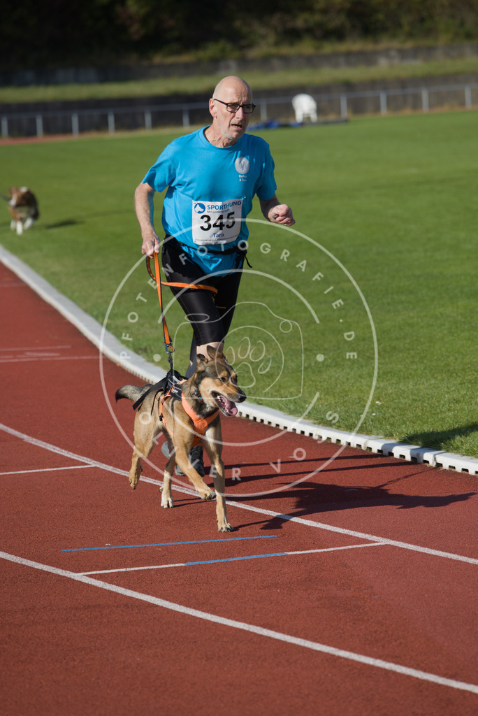 0L8A9251 | Hundefotografie, Tierfotograf, Pfotenfotografie, Fotoshooting Hund, Hunde Portrait, Hundesport, Hundeportraits, Heideshooting, Hunde, Sportfotograf, Hundefotograf, Turnierhundsport, THS,  - Realisiert mit Pictrs.com