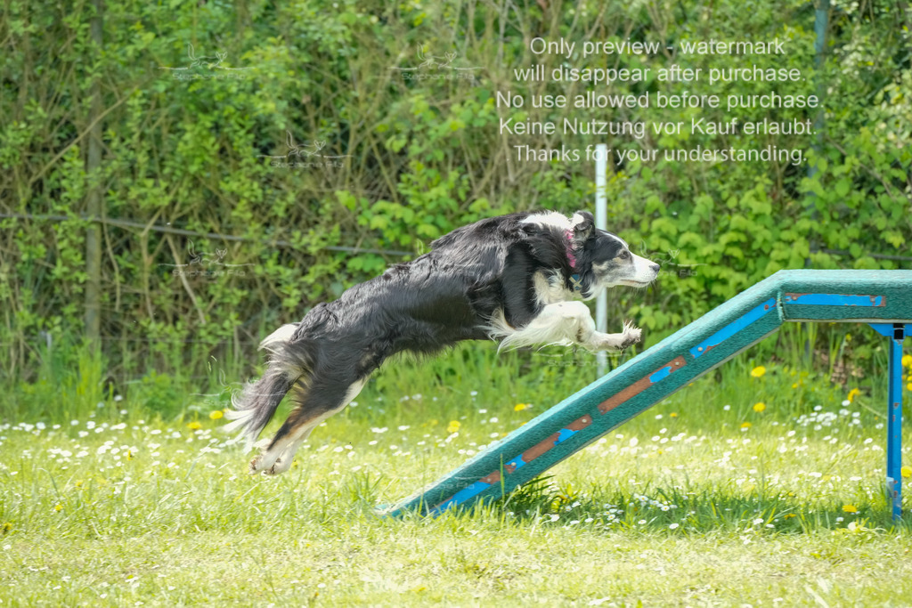 Sa_Laeufe_VK1und2_06-18 | stephaniefillaphotographie - Realisiert mit Pictrs.com