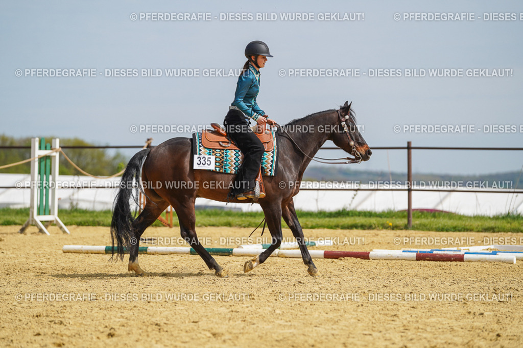 DSC04298 | Pferdegrafie