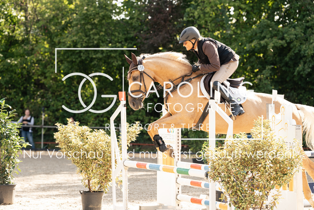 DSC01900 | Carolin Gieschke