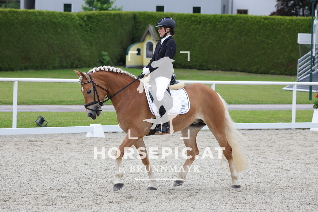 0P6A5220 | Willkommen bei Brunnmayr - Design & Fotografie – Ihrem Spezialisten für Reitturniere und Pferdeveranstaltungen in Oberösterreich, Salzburg und Bayern! Seit über 17 Jahren sind wir leidenschaftlich dabei.