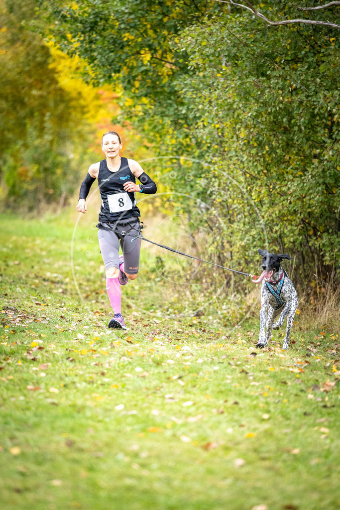 Pfotenfotografie_DV3A1749 | Hundefotografie, Tierfotograf, Pfotenfotografie, Fotoshooting Hund, Hunde Portrait, Hundesport, Hundeportraits, Heideshooting, Hunde, Sportfotograf, Hundefotograf, Turnierhundsport, THS,  - Realisiert mit Pictrs.com