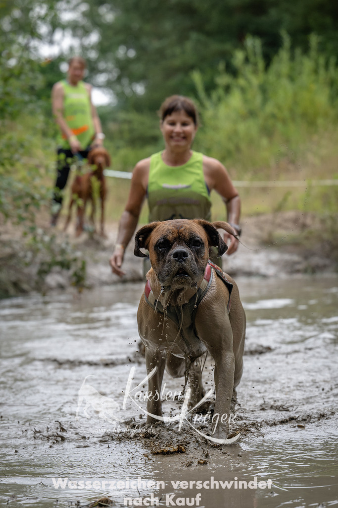 1436_ZZ92040 | kk-dogfotos