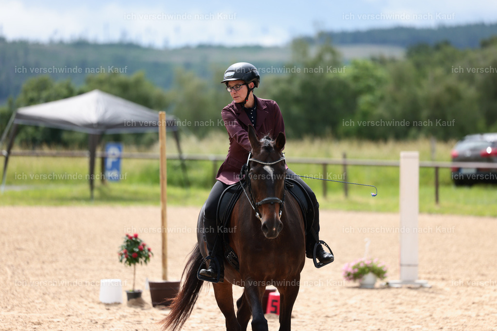 KlasseE_Stoibphotography_CAM22048.JPG | working equitationturnier fotograf videograf stoibphotography marixx film working equitation deutschland reitsport turnierfotografie eventfotografie equestrian events